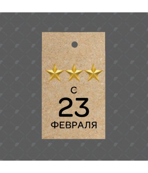 Бирка крафт "С 23 февраля" 4*6,5см